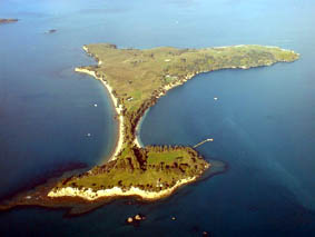Motuihe Island.jpg