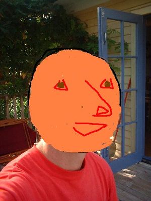 Mr Orange.jpg