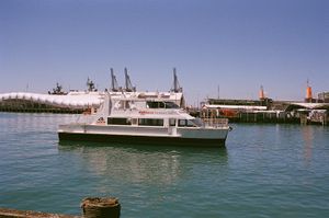 HarbourCat.JPG
