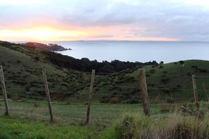 Above cactus bay.JPG